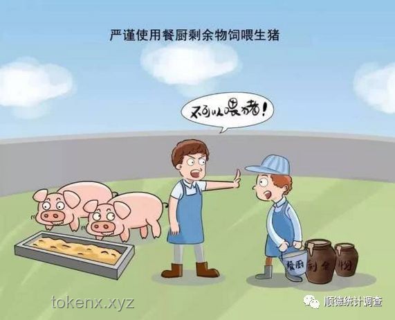 挑战搬水泥买非洲之心：毅力与梦想的完结篇